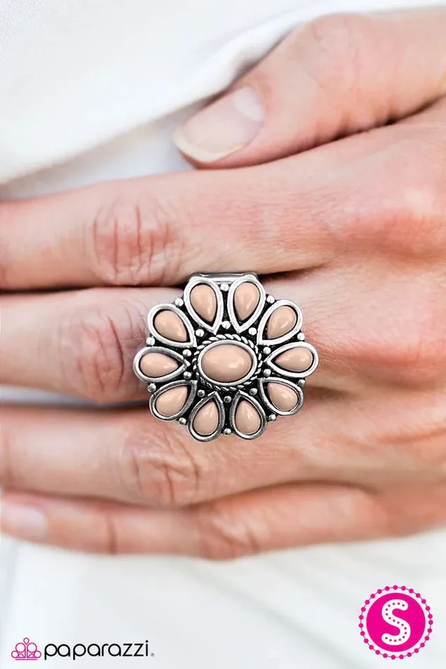 Paparazzi Jewelry Rings Paparazzi Ring Daisy Dance Brown