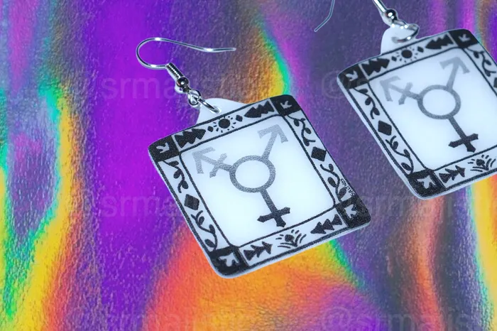 Sam Makes Things Earrings Alternative Pride Stylized Handmade Earrings collaboration with saltnox