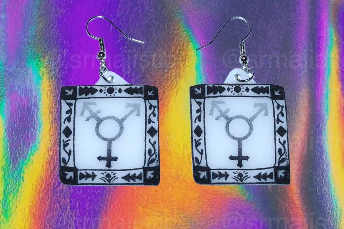 Sam Makes Things Earrings Alternative Pride Stylized Handmade Earrings collaboration with saltnox
