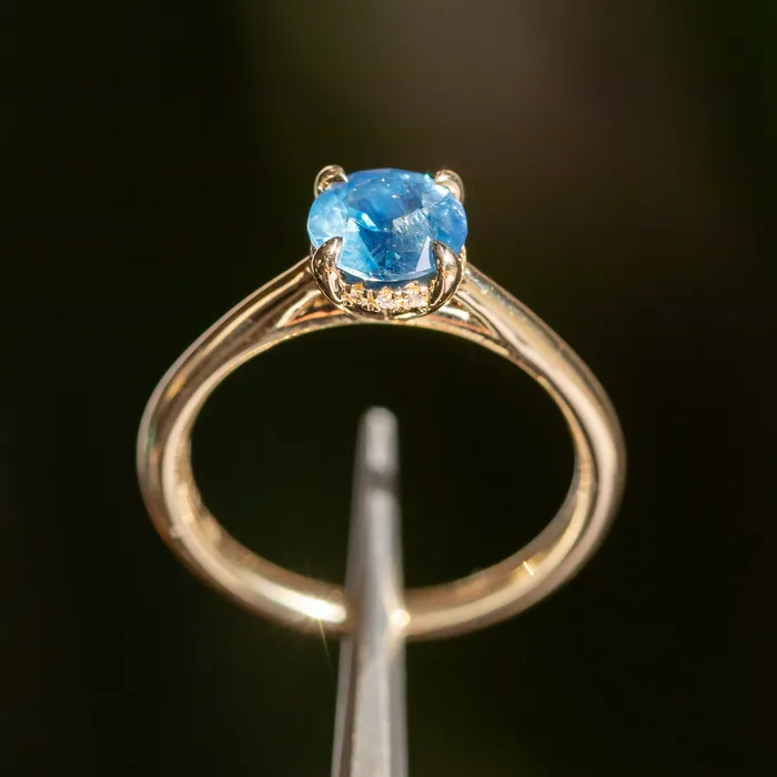 Anueva Jewelry Earrings 126ct Round Nigerian Sapphire Hidden Halo Solitaire in 14k Yellow Gold