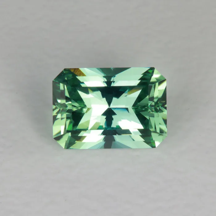 Barion Style Emerald Cut Tourmaline 982 Carats vendorunknown Earrings