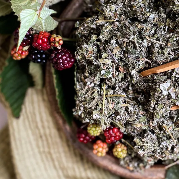 Bulk Herb Store Red Raspberry Leaf Cut Sifted Rings