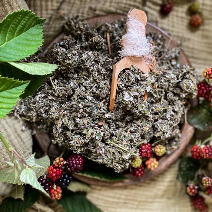 Bulk Herb Store Red Raspberry Leaf Cut Sifted Rings