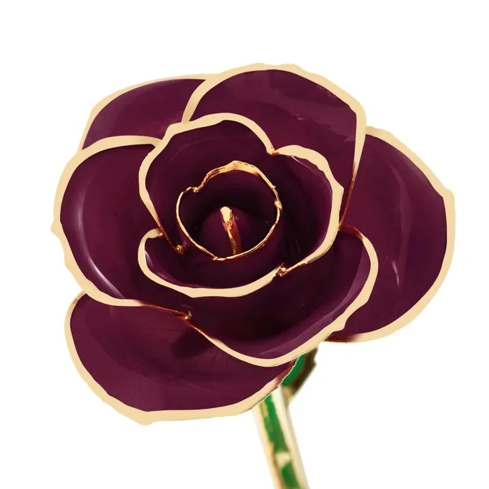 Earrings Burgundy Wine 24k Gold Dipped Rose TR Jewelry Concepts