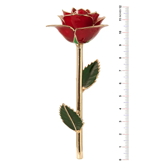 Earrings Burgundy Wine 24k Gold Dipped Rose TR Jewelry Concepts