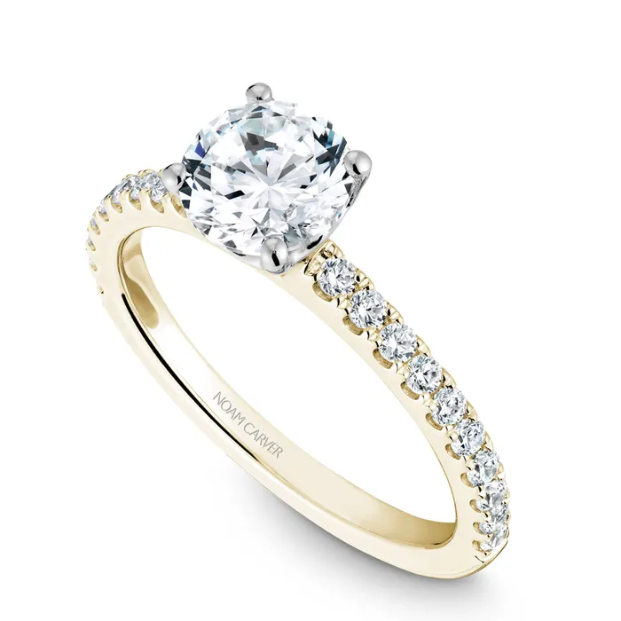 Rings International Diamond Center Noam Carver White Gold Diamond Engagement Ring Setting 031 CTW Rings International Diamond Center Noam Carver White Gold Diamond Engagement Ring Setting 031 CTW