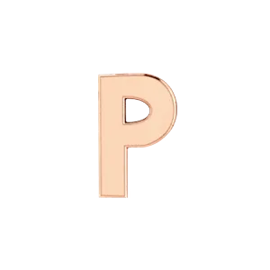 SG Fine Charm Necklaces Slider Solid Letter P Charm