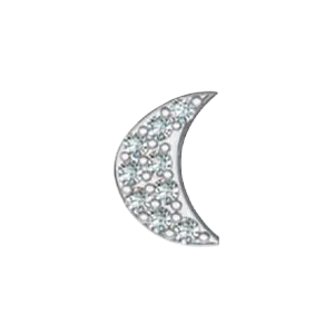 SG Fine Slider Moon Charm Charm Necklaces